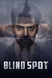 Blind Spot